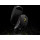 Corsair SABRE v2 PRO MG Black - 1480658 - zdjęcie 5
